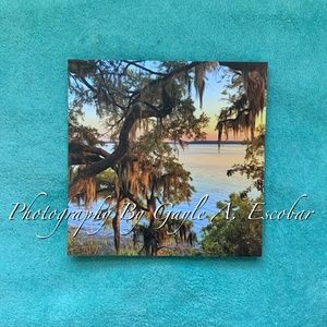 Original Photography Hilton Head Spanish Moss at Sunset